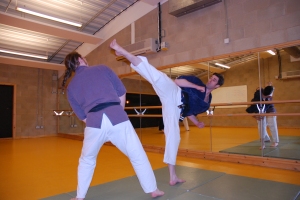 Martial Arts Lessons In Cheltenham