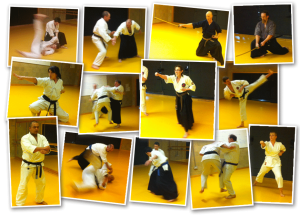 Cheltenham Martial Arts 2